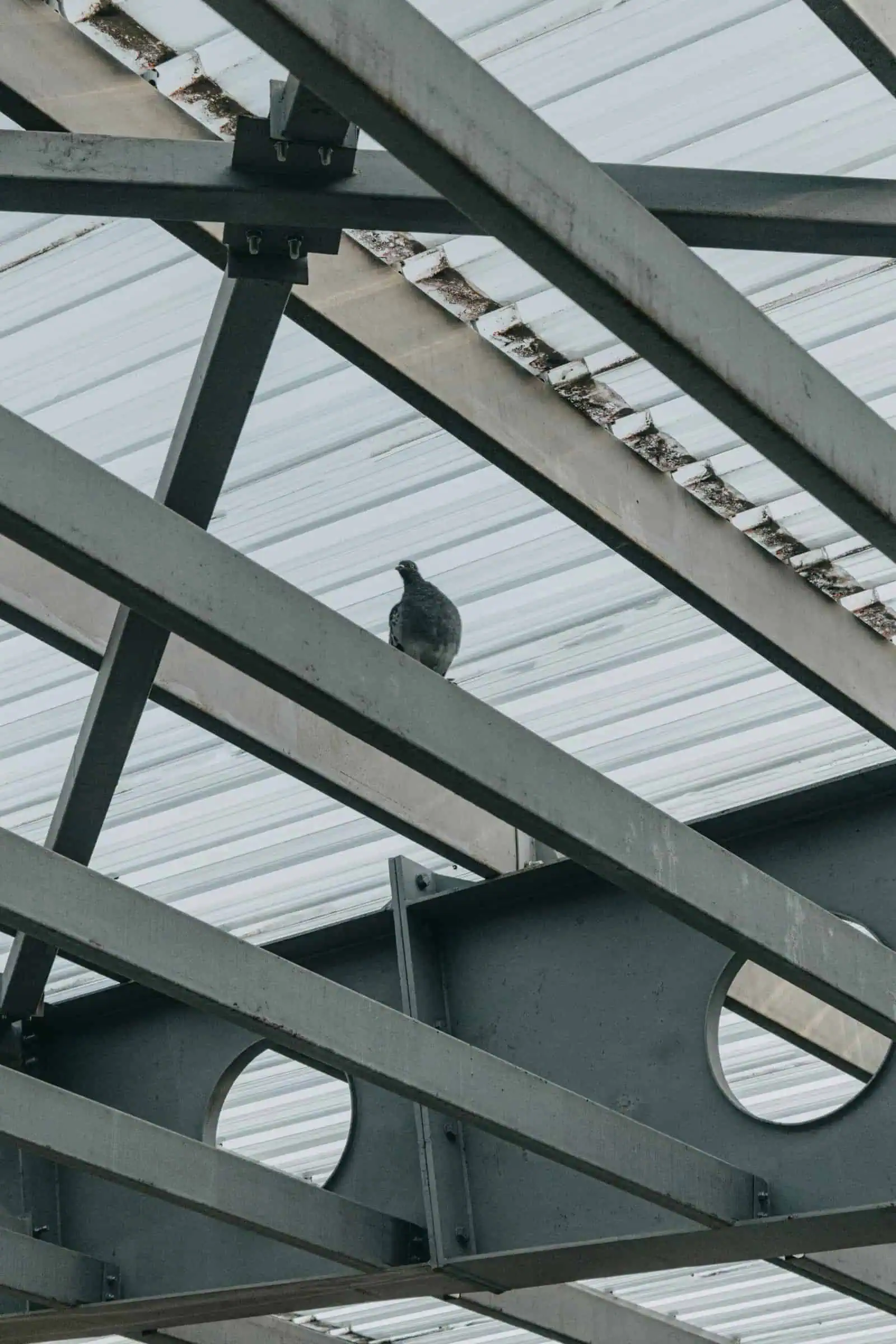 European Standard H Beams